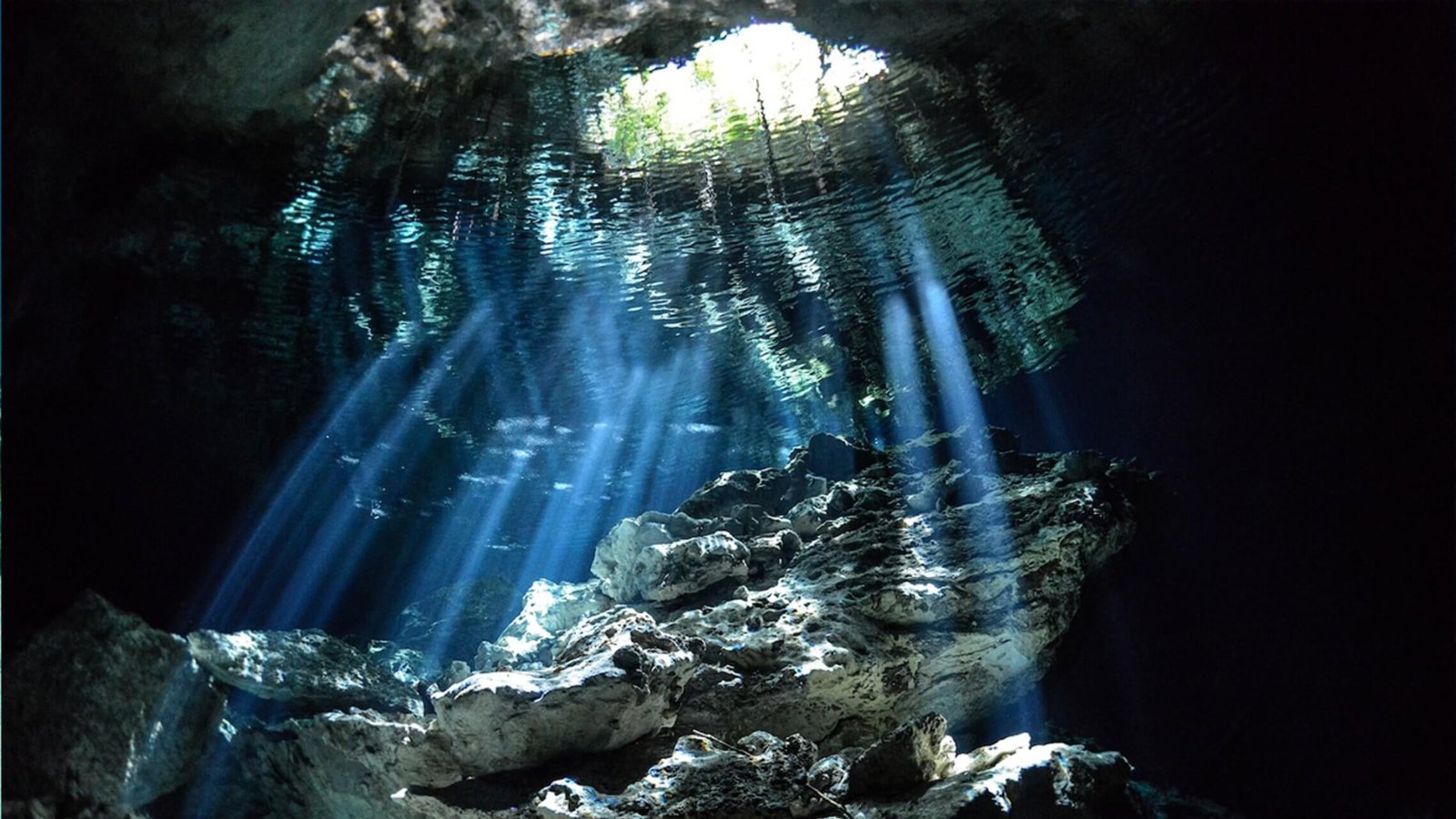 cenote diving blue experience 0023