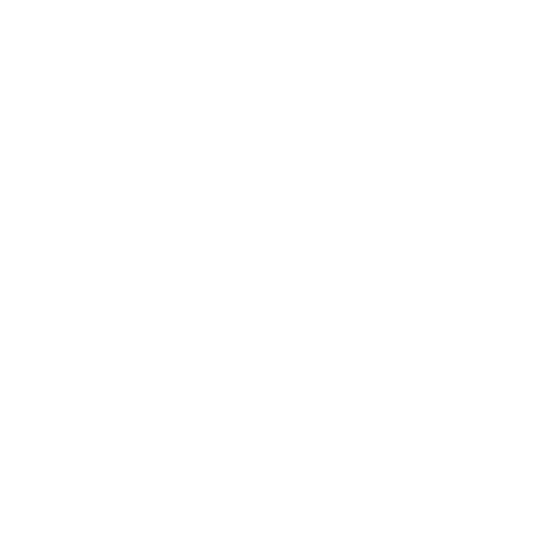 turtle 6660542 white