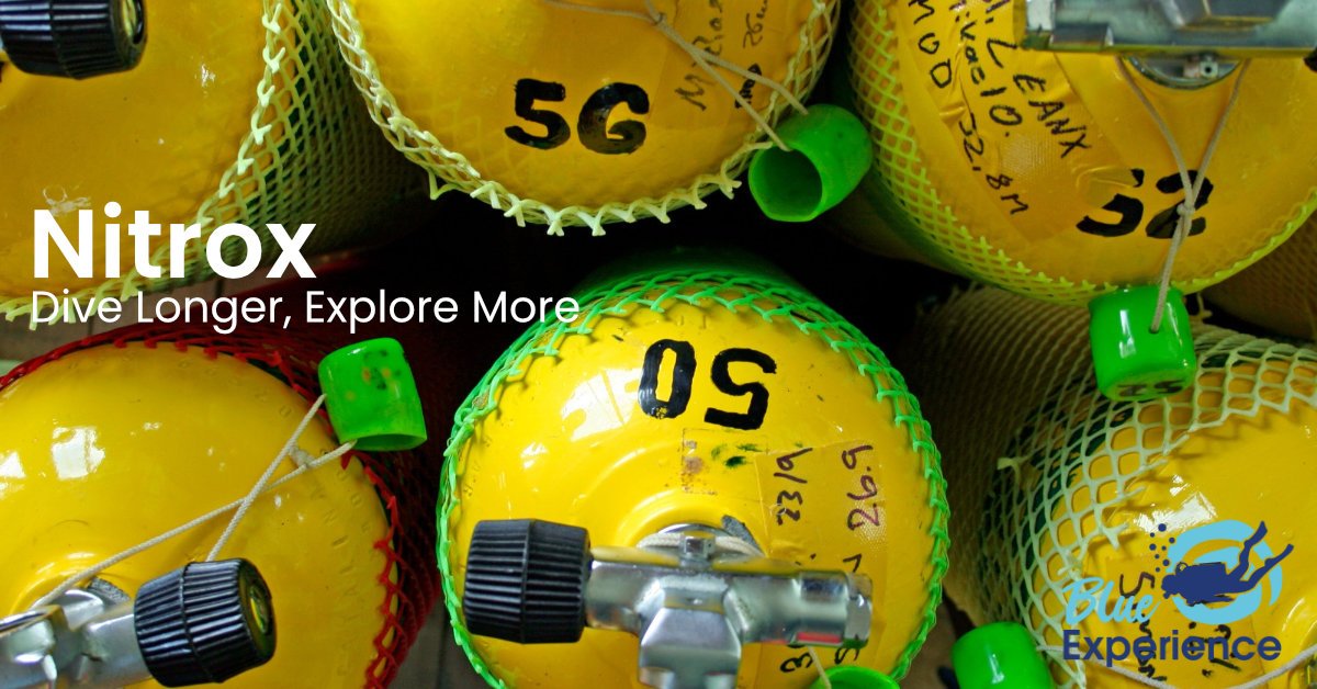 nitrox banner