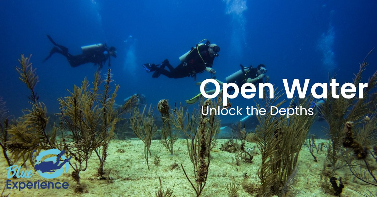 open water banner